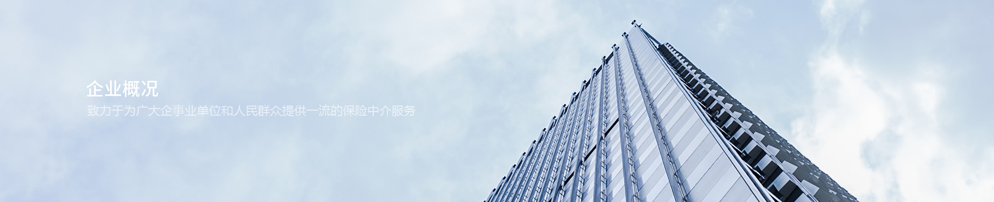 企业概况
