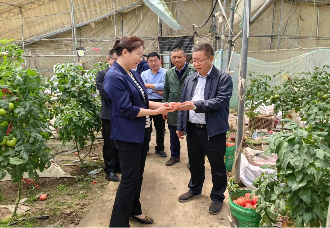 亚洲欧美国产精品久久久久久久